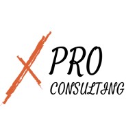 X Pro Consulting sn logo - Similar company to Good Morning Toulouse