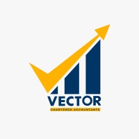 Vector Chartered Accountants logo - Similar company to 360 Outsourcing