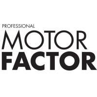 Professional Motor Factor logo - Similar company to Mitschuh Gmbh - Advertising Agency For Onlineshops