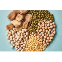 TUM - Professorship Plant Proteins and Nutrition logo - Similar company to National Taiwan University