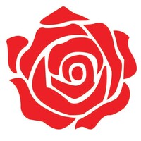 Modish Tradex Private Limited logo - Similar company to Thedigify