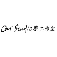Cai Studio logo - Similar company to Cai Technology