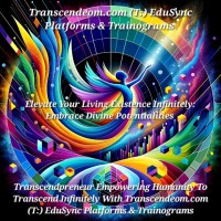 Transcendeom.com (T:) EduSync Platforms & Trainograms logo - Similar company to Edu Sync
