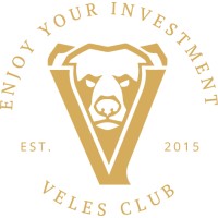 VelesClub Int logo - Similar company to Rocksure