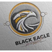 Black Eagle ProSupport Pty Ltd logo - Similar company to Onlineboost - Business It Services