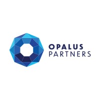 Opalus Partners Group logo - Similar company to Opalus