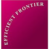 Efficient Frontier Consulting logo - Similar company to Efficient Frontier