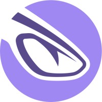 Visarex logo - Similar company to Reeel
