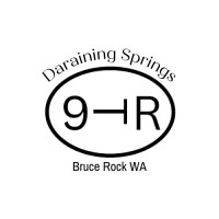 Daraining Springs logo - Similar company to Rural Inputs (Wa)