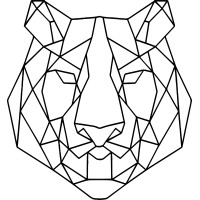 A Teiger Vision