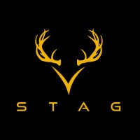 STAG - Strategic Technologies Analytics Group logo - Similar company to Nmcpac Conus West