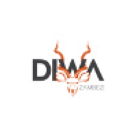 Diwa Zambezi logo - Similar company to Diamond Valley Learning Centre