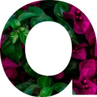 Alipaine Interactive logo - Similar company to Emittor