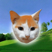 Forum Muslim Angkatan Fakultasi Psikologi Universitas Indonesia logo - Similar company to Psy-K Ui