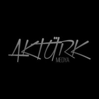 Aktürk Medya logo - Similar company to İnogen Bilgi Teknolojileri