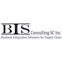BIS Consulting SC logo - Similar company to Macnaught Canada