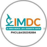 IMDC logo - Similar company to Techyjeeves