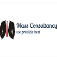 Mass Consultancyservice logo - Similar company to Mass Consultant