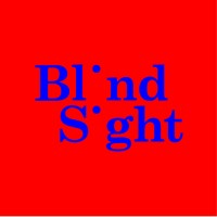 Blind Sight logo - Similar company to Blindsight Mobility