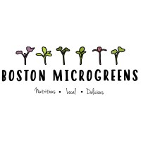 Boston Microgreens logo - Similar company to Micro Verdets