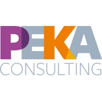 Peka Management & Consulting logo - Similar company to The Asclepius Project