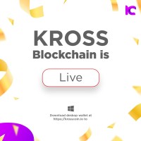 Kross Blockchain logo - Similar company to Versecard