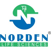 Norden Lifescience logo - Similar company to Obsidian Business Planning Solutions