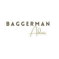 Baggerman Advies logo - Similar company to Delfini