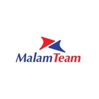 MalamTeam & Dell Technologies logo - Similar company to Architecture