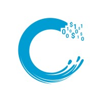 C-Level Analytics logo - Similar company to Data Accelerated