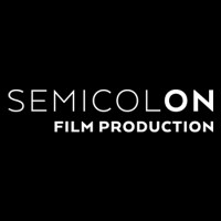 SEMICOLON FILMPRODUCTION logo - Similar company to Proagile.De