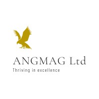 ANGMAGLTD logo - Similar company to Smooko Nigeria Ltd
