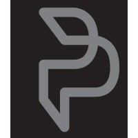 P & P Consulting logo - Similar company to 818 Studio Ltd.