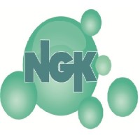 NGK & Associates Limited logo - Similar company to Genio Consults