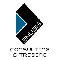 Enubis logo - Similar company to Activus - Management & Engineering