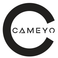 Cameyo logo - Similar company to Apporto
