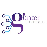 Gunter Consulting, Inc. logo - Similar company to Code Panacea