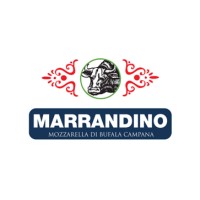 Caseificio Marrandino | Eccellenza D.O.P logo - Similar company to Broker Company Srl
