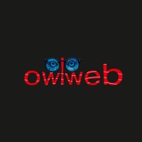 owlweb logo - Similar company to Hmara Solutions