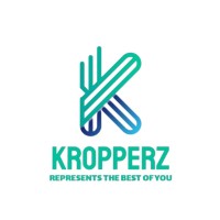 Kropperz Consultants logo - Similar company to Clean Green Health Foundation