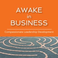 Awake In Business