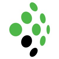 Participate Technologies logo - Similar company to M2North