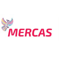 Mercas logo - Similar company to Webarc Llc