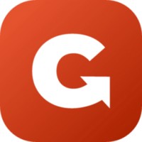 NELEGA GmbH logo - Similar company to Minautics - Bpm Consulting