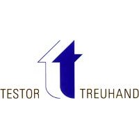 Testor Treuhand AG logo - Similar company to Weingärtner Gmbh