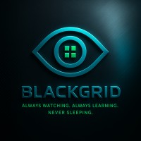 BlackGrid – Sovereign Fraud Defence logo - Similar company to Link-Up Technology Ltd