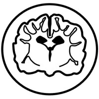 Faraday Veterinary Neuroimaging logo - Similar company to Antech Imaging Services