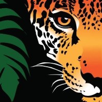 Rainforest Trust UK logo - Similar company to Rainforest Foundation Uk