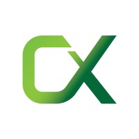 Cyntex logo - Similar company to Computing Today