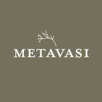 Metavasi Capital logo - Similar company to Advalurem Group